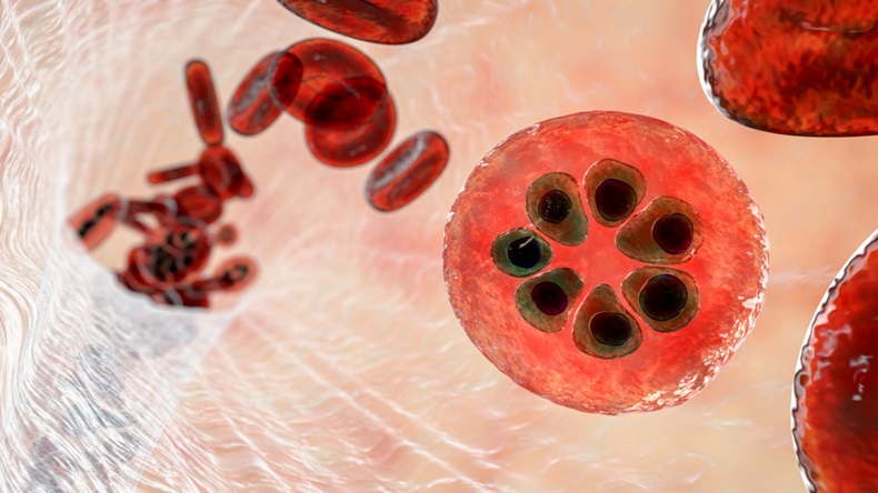 Malaria_Blood_Cell