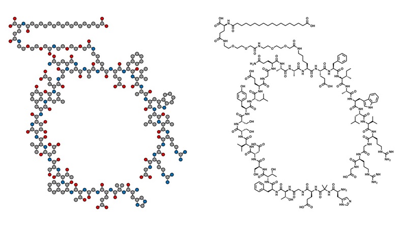 semaglutide molecule