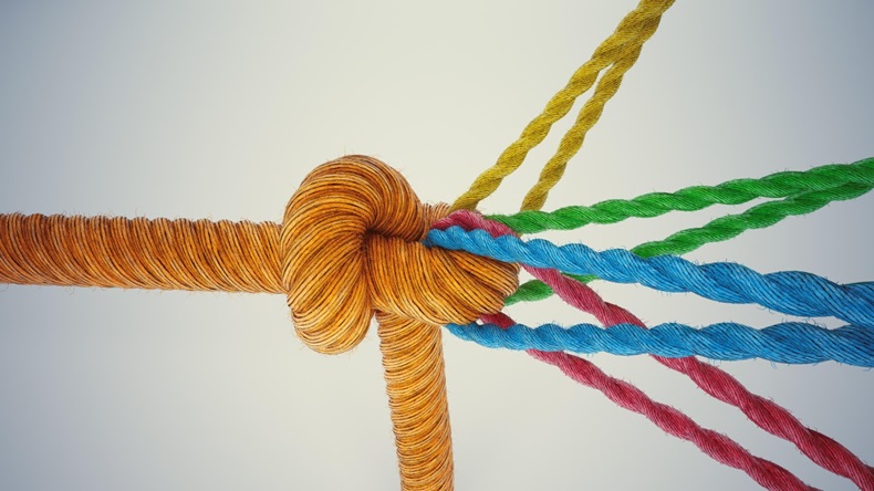 Leadership knot
