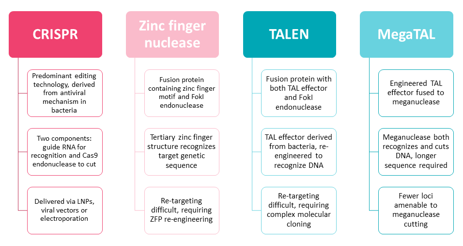 Gene Editing Classification And Technologies