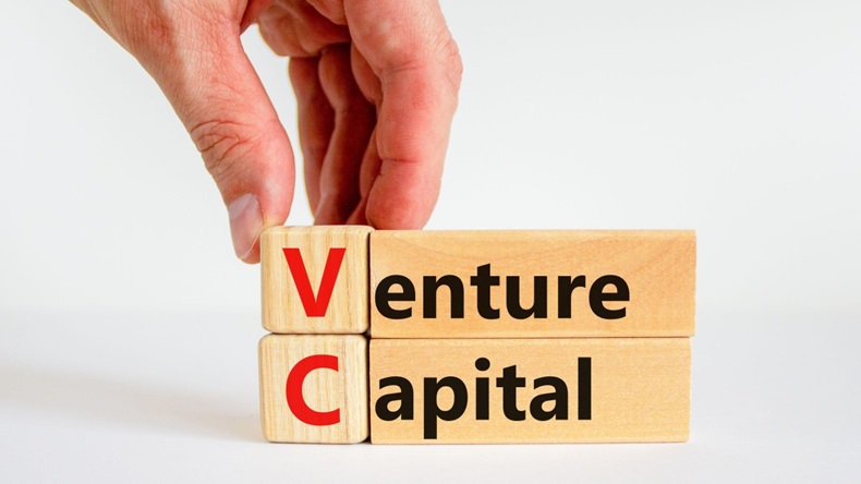 venture capital 
