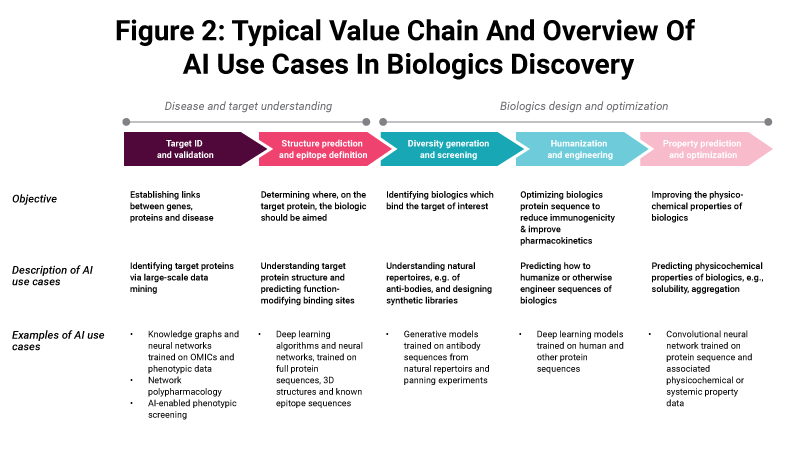Figure 2: Typical Value Chain And Overview Of AI Use Cases In Biologics Discovery