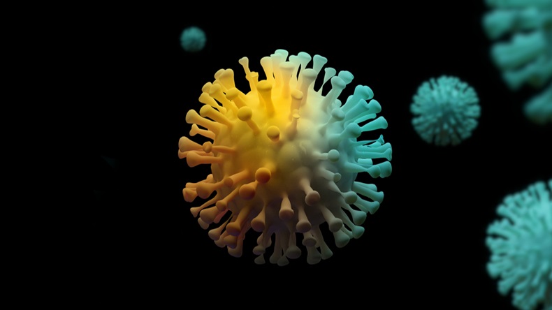 3D Coronavirus cells
